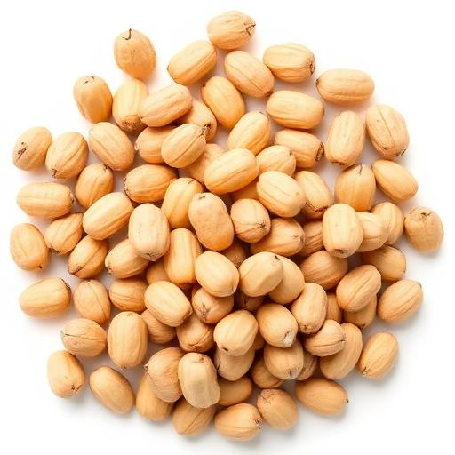 Carefully Selected G20 Groundnuts